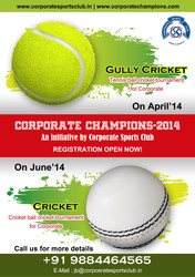 Corporate Tennis Ball Cricket Tournament in April 2014 - Chennai 