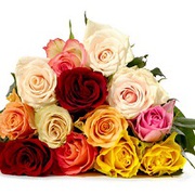 Send flowers to Kanpur, flowers delivres to kanpur