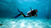 Best Scuba diving services in Goa 